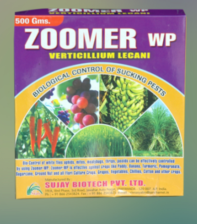 ZOOMER-WP