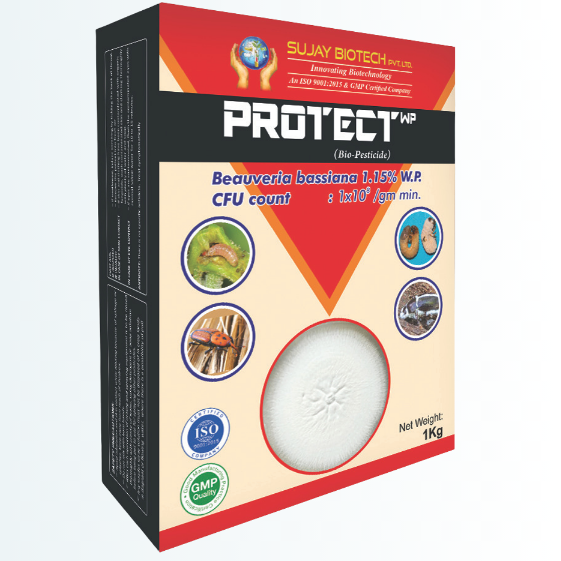 PROTECT-WP